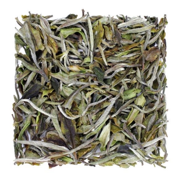 Himalayan white tea