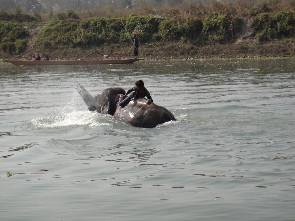 Chitwan National Park
